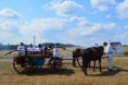 /album/a90-vyroci-sdh-sudice-18-8-2018/dsc-0472-2-jpg/
